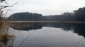 Bobrowa stołówka, czyli Rezerwat Jeziora Czarnego - zdjęcie 29