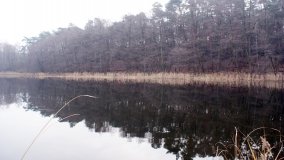 Bobrowa stołówka, czyli Rezerwat Jeziora Czarnego - zdjęcie 27