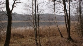 Bobrowa stołówka, czyli Rezerwat Jeziora Czarnego - zdjęcie 28