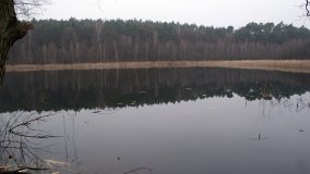 Bobrowa stołówka, czyli Rezerwat Jeziora Czarnego - zdjęcie 8