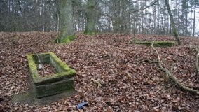 Bobrowa stołówka, czyli Rezerwat Jeziora Czarnego - zdjęcie 3