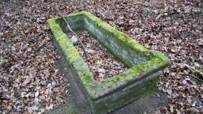 Bobrowa stołówka, czyli Rezerwat Jeziora Czarnego - zdjęcie 2