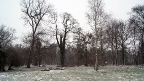 Pałac Jasminum w Zalesiu - zdjęcie 6