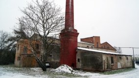 Pałac Jasminum w Zalesiu - zdjęcie 10