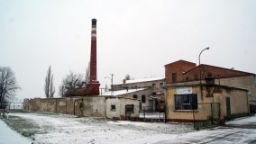 Pałac Jasminum w Zalesiu - zdjęcie 11