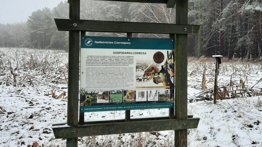 Jezierce – dwie ścieżki przyrodnicze - zdjęcie 1