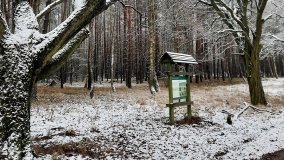 Jezierce – dwie ścieżki przyrodnicze - zdjęcie 2