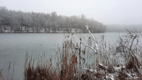 Jezierce – dwie ścieżki przyrodnicze - zdjęcie 4