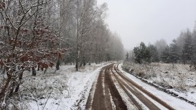 Jezierce – dwie ścieżki przyrodnicze - zdjęcie 5