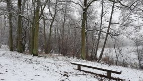 Jezierce – dwie ścieżki przyrodnicze - zdjęcie 8