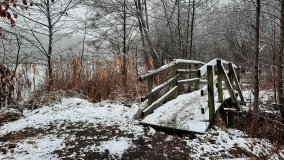 Jezierce – dwie ścieżki przyrodnicze - zdjęcie 9