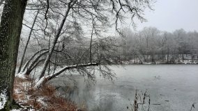 Jezierce – dwie ścieżki przyrodnicze - zdjęcie 10