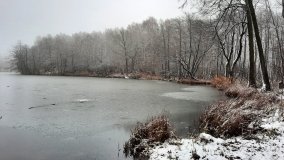 Jezierce – dwie ścieżki przyrodnicze - zdjęcie 11