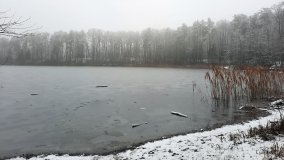 Jezierce – dwie ścieżki przyrodnicze - zdjęcie 15