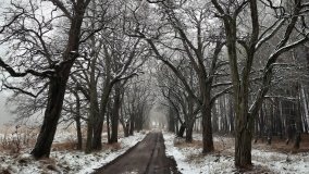 Jezierce – dwie ścieżki przyrodnicze - zdjęcie 18