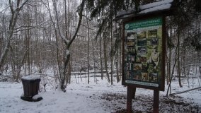 Leśna ścieżka Nadleśnictwa Miradz w zimowej szacie - zdjęcie 2