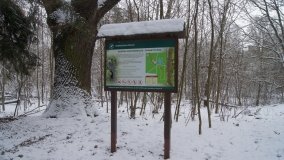 Leśna ścieżka Nadleśnictwa Miradz w zimowej szacie - zdjęcie 4