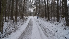 Leśna ścieżka Nadleśnictwa Miradz w zimowej szacie - zdjęcie 7