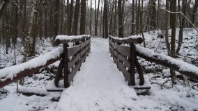 Leśna ścieżka Nadleśnictwa Miradz w zimowej szacie - zdjęcie 8