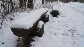 Leśna ścieżka Nadleśnictwa Miradz w zimowej szacie - zdjęcie 9