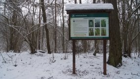 Leśna ścieżka Nadleśnictwa Miradz w zimowej szacie - zdjęcie 10