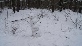 Leśna ścieżka Nadleśnictwa Miradz w zimowej szacie - zdjęcie 11