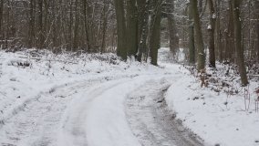 Leśna ścieżka Nadleśnictwa Miradz w zimowej szacie - zdjęcie 16