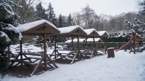 Leśna ścieżka Nadleśnictwa Miradz w zimowej szacie - zdjęcie 20