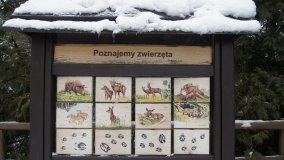 Leśna ścieżka Nadleśnictwa Miradz w zimowej szacie - zdjęcie 21