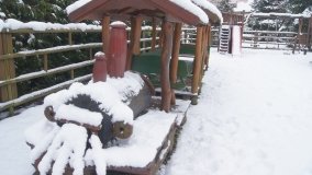 Leśna ścieżka Nadleśnictwa Miradz w zimowej szacie - zdjęcie 22