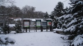 Leśna ścieżka Nadleśnictwa Miradz w zimowej szacie - zdjęcie 23