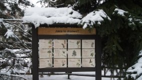 Leśna ścieżka Nadleśnictwa Miradz w zimowej szacie - zdjęcie 24