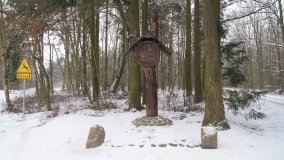 Leśna ścieżka Nadleśnictwa Miradz w zimowej szacie - zdjęcie 25