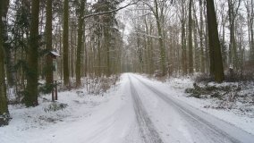 Leśna ścieżka Nadleśnictwa Miradz w zimowej szacie - zdjęcie 28