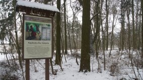 Leśna ścieżka Nadleśnictwa Miradz w zimowej szacie - zdjęcie 29