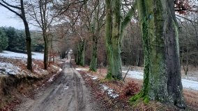 Zimowe poszukiwania „zaginionego miasta” - zdjęcie 7