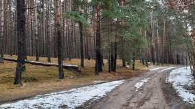 Zimowe poszukiwania „zaginionego miasta” - zdjęcie 18