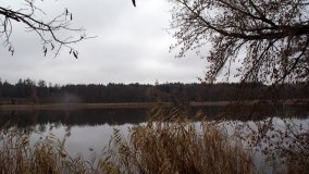 Śladami Maksymiliana Jackowskiego we Wronczynie - zdjęcie 12