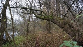 Śladami Maksymiliana Jackowskiego we Wronczynie - zdjęcie 13