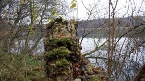 Śladami Maksymiliana Jackowskiego we Wronczynie - zdjęcie 14