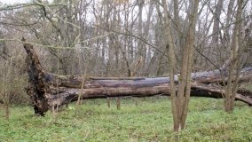 Śladami Maksymiliana Jackowskiego we Wronczynie - zdjęcie 27