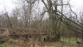 Śladami Maksymiliana Jackowskiego we Wronczynie - zdjęcie 31