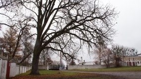 Śladami Maksymiliana Jackowskiego we Wronczynie - zdjęcie 32