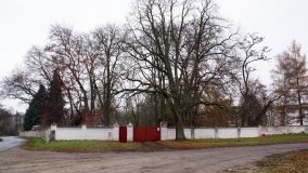 Śladami Maksymiliana Jackowskiego we Wronczynie - zdjęcie 33