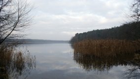 Śladami Maksymiliana Jackowskiego we Wronczynie - zdjęcie 36