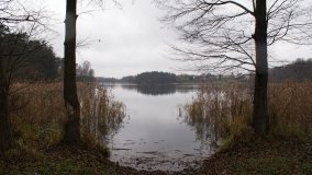 Śladami Maksymiliana Jackowskiego we Wronczynie - zdjęcie 40