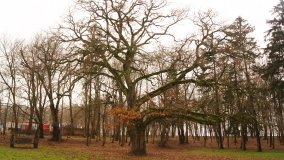 Eklektyczny pałac rodziny von Tcheppe w Broniewicach  - zdjęcie 8