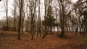 Eklektyczny pałac rodziny von Tcheppe w Broniewicach  - zdjęcie 9
