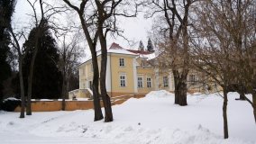 Dawny pałac Szulczewskich w Chwaliszewie - zdjęcie 10