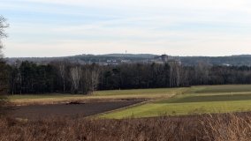 Pałac w Radojewie połączony osią widokową z pałacem w Owińskach - zdjęcie 4